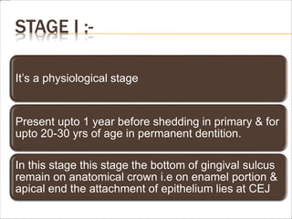STAGE I :-
It’s a physiological stage
Present upto 1 year before shedding in primary & for
upto 20-30 yrs of age in permanent dentition.
In this stage this stage the bottom of gingival sulcus
remain on anatomical crown i.e on enamel portion &
apical end the attachment of epithelium lies at CEJ
 