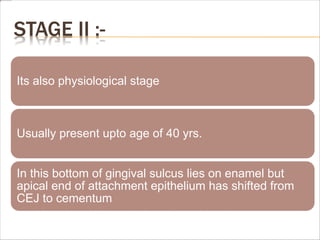 STAGE II :-
Its also physiological stage
Usually present upto age of 40 yrs.
In this bottom of gingival sulcus lies on enamel but
apical end of attachment epithelium has shifted from
CEJ to cementum
 