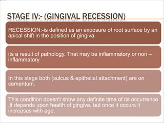 STAGE IV:- (GINGIVAL RECESSION)
RECESSION:-is defined as an exposure of root surface by an
apical shift in the position of gingiva.
its a result of pathology. That may be inflammatory or non –
inflammatory
In this stage both (sulcus & epithelial attachment) are on
cementum.
This condition doesn't show any definite time of its occurrence
,it depends upon health of gingiva. but once it occurs it
increases with age.
 