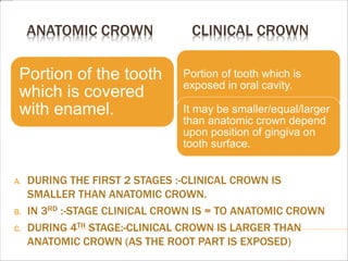 ANATOMIC CROWN CLINICAL CROWN
A. DURING THE FIRST 2 STAGES :-CLINICAL CROWN IS
SMALLER THAN ANATOMIC CROWN.
B. IN 3RD :-STAGE CLINICAL CROWN IS = TO ANATOMIC CROWN
C. DURING 4TH STAGE:-CLINICAL CROWN IS LARGER THAN
ANATOMIC CROWN (AS THE ROOT PART IS EXPOSED)
Portion of the tooth
which is covered
with enamel.
Portion of tooth which is
exposed in oral cavity.
It may be smaller/equal/larger
than anatomic crown depend
upon position of gingiva on
tooth surface.
 