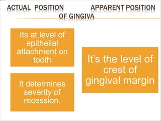 ACTUAL POSITION APPARENT POSITION
OF GINGIVA
Its at level of
epithelial
attachment on
tooth
It determines
severity of
recession.
It’s the level of
crest of
gingival margin
 