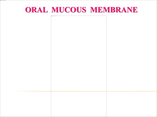 ORAL MUCOUS MEMBRANE
 