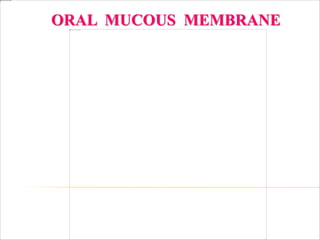 ORAL MUCOUS MEMBRANE
 