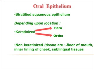 Oral Epithelium
•Stratified squamous epithelium
Depending upon location :
•Keratinized
•Non keratinized (tissue are :-floor of mouth,
inner lining of cheek, sublingual tissues
Para
Ortho
 