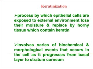 Keratinization
process by which epithelial cells are
exposed to external environment lose
their moisture & replace by horny
tissue which contain keratin
involves series of biochemical &
morphological events that occurs in
the cell as it progresses from basal
layer to stratum corneum
 