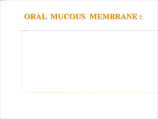 ORAL MUCOUS MEMBRANE :
 