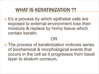 WHAT IS KERATINIZATION ??
 It’s a process by which epithelial cells are
exposed to external environment lose their
moisture & replace by horny tissue which
contain keratin.
OR
 The process of keratinization invloves series
of biochemical & morphological events that
occurs in the cell as it progresses from basal
layer to stratum corneum.
 