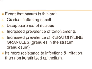  Event that occurs in this are:-
a. Gradual flattening of cell
b. Disappearence of nucleus
c. Increased prevelence of tonofilaments
d. Increased prevelence of KERATOHYLINE
GRANULES (granules in the stratum
granulosum)
 Its more resistance to infections & irritation
than non keratinized epithelium.
 