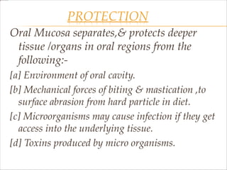 PROTECTION
Oral Mucosa separates,& protects deeper
tissue /organs in oral regions from the
following:-
[a] Environment of oral cavity.
[b] Mechanical forces of biting & mastication ,to
surface abrasion from hard particle in diet.
[c] Microorganisms may cause infection if they get
access into the underlying tissue.
[d] Toxins produced by micro organisms.
 