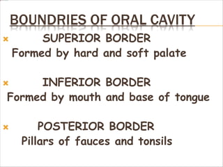 BOUNDRIES OF ORAL CAVITY
 SUPERIOR BORDER
Formed by hard and soft palate
 INFERIOR BORDER
Formed by mouth and base of tongue
 POSTERIOR BORDER
Pillars of fauces and tonsils
 