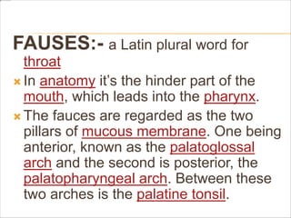 FAUSES:- a Latin plural word for
throat
 In anatomy it’s the hinder part of the
mouth, which leads into the pharynx.
 The fauces are regarded as the two
pillars of mucous membrane. One being
anterior, known as the palatoglossal
arch and the second is posterior, the
palatopharyngeal arch. Between these
two arches is the palatine tonsil.
 