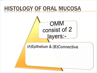 HISTOLOGY OF ORAL MUCOSA
 