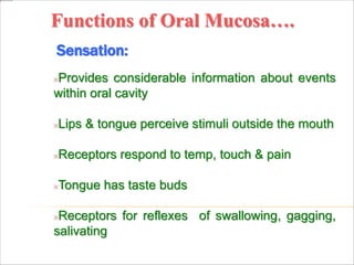 Functions of Oral Mucosa….
Sensation:
Provides considerable information about events
within oral cavity
Lips & tongue perceive stimuli outside the mouth
Receptors respond to temp, touch & pain
Tongue has taste buds
Receptors for reflexes of swallowing, gagging,
salivating
 