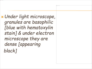  Under light microscope,
granules are basophilic
[blue with hematoxylin
stain] & under electron
microscope they are
dense [appearing
black]
 