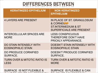 DIFFERENCES BETWEEN
KERATINIZED EPITHELIUM NON KERATINIZED
EPITHELIUM
4 LAYERS ARE PRESENT IN PLACE OF ST. GRANULOSUM
& CORNEUM
ST.INTERMEDIUM & ST
SUPERFICIALE ARE PRESENT
INTERCELLULAR SPACES ARE
MORE
LESS CONSPICUOUS
THEREFORE DON’T HAVE
PRICKLY APPEARANCE.
DO STAIN INTENSELY WITH
EOSINOPHILIC STAIN
DOESN’T STAIN INTENSELY WITH
EOSINOPHILIC STAIN
DO PRODUCE CORNIFIED
SURFACE.
DOESN’T PRODUCE CORNIFIED
SURFACE.
TURN OVER & MITOTIC RATIO IS
LESS
TURN OVER & MITOTIC RATIO IS
MORE
SURFACE IS NOT FLEXIBLE & SURFACE IS FLEXIBLE & CAN
 