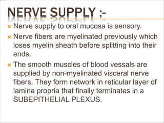 NERVE SUPPLY :-
 Nerve supply to oral mucosa is sensory.
 Nerve fibers are myelinated previously which
loses myelin sheath before splitting into their
ends.
 The smooth muscles of blood vessals are
supplied by non-myelinated visceral nerve
fibers. They form network in reticular layer of
lamina propria that finally terminates in a
SUBEPITHELIAL PLEXUS.
 