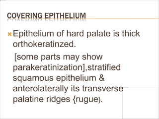 COVERING EPITHELIUM
Epithelium of hard palate is thick
orthokeratinzed.
[some parts may show
parakeratinization],stratified
squamous epithelium &
anterolaterally its transverse
palatine ridges {rugue}.
 