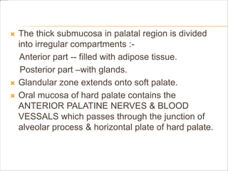  The thick submucosa in palatal region is divided
into irregular compartments :-
Anterior part -- filled with adipose tissue.
Posterior part –with glands.
 Glandular zone extends onto soft palate.
 Oral mucosa of hard palate contains the
ANTERIOR PALATINE NERVES & BLOOD
VESSALS which passes through the junction of
alveolar process & horizontal plate of hard palate.
 