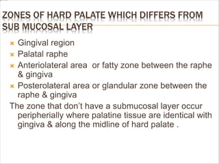 ZONES OF HARD PALATE WHICH DIFFERS FROM
SUB MUCOSAL LAYER
 Gingival region
 Palatal raphe
 Anteriolateral area or fatty zone between the raphe
& gingiva
 Posterolateral area or glandular zone between the
raphe & gingiva
The zone that don’t have a submucosal layer occur
peripherially where palatine tissue are identical with
gingiva & along the midline of hard palate .
 