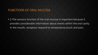 FUNCTIONS OF ORAL MUCOSA
• 2-The sensory function of the oral mucosa is important because it
provides considerable information about events within the oral cavity.
In the mouth, receptors respond to temperature,touch and pain..
 