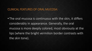 CLINICAL FEATURES OF ORAL MUCOSA:
• The oral mucosa is continuous with the skin, it differs
considerably in appearance. Generally, the oral
mucosa is more deeply colored, most obviously at the
lips (where the bright vermilion border contrasts with
the skin tone).
 