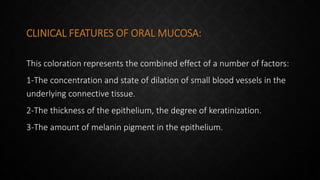CLINICAL FEATURES OF ORAL MUCOSA:
This coloration represents the combined effect of a number of factors:
1-The concentration and state of dilation of small blood vessels in the
underlying connective tissue.
2-The thickness of the epithelium, the degree of keratinization.
3-The amount of melanin pigment in the epithelium.
 