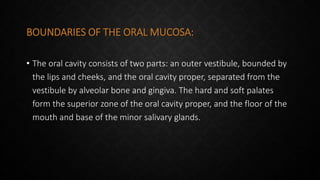 BOUNDARIES OF THE ORAL MUCOSA:
• The oral cavity consists of two parts: an outer vestibule, bounded by
the lips and cheeks, and the oral cavity proper, separated from the
vestibule by alveolar bone and gingiva. The hard and soft palates
form the superior zone of the oral cavity proper, and the floor of the
mouth and base of the minor salivary glands.
 