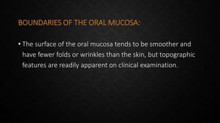 BOUNDARIES OF THE ORAL MUCOSA:
• The surface of the oral mucosa tends to be smoother and
have fewer folds or wrinkles than the skin, but topographic
features are readily apparent on clinical examination.
 