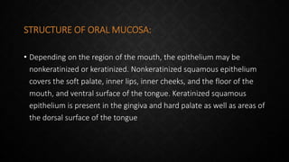 STRUCTURE OF ORAL MUCOSA:
• Depending on the region of the mouth, the epithelium may be
nonkeratinized or keratinized. Nonkeratinized squamous epithelium
covers the soft palate, inner lips, inner cheeks, and the floor of the
mouth, and ventral surface of the tongue. Keratinized squamous
epithelium is present in the gingiva and hard palate as well as areas of
the dorsal surface of the tongue
 