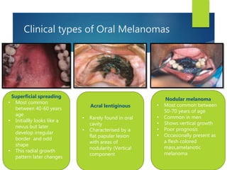 Clinical types of Oral Melanomas
Superficial spreading
• Most common
between 40-60 years
age
• Initiallly looks like a
nevus but later
develop irregular
border and odd
shape
• This radial growth
pattern later changes
Acral lentiginous
• Rarely found in oral
cavity
• Characterised by a
flat papular lesion
with areas of
nodularity (Vertical
component
Nodular melanoma
• Most common between
50-70 years of age
• Common in men
• Shows vertical growth
• Poor prognosis
• Occasionally present as
a flesh colored
mass,amelanotic
melanoma
 