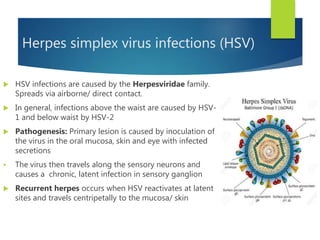 Herpes simplex virus infections (HSV)
 HSV infections are caused by the Herpesviridae family.
Spreads via airborne/ direct contact.
 In general, infections above the waist are caused by HSV-
1 and below waist by HSV-2
 Pathogenesis: Primary lesion is caused by inoculation of
the virus in the oral mucosa, skin and eye with infected
secretions
 The virus then travels along the sensory neurons and
causes a chronic, latent infection in sensory ganglion
 Recurrent herpes occurs when HSV reactivates at latent
sites and travels centripetally to the mucosa/ skin
 