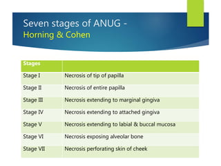 Seven stages of ANUG -
Horning & Cohen
Stages
Stage I Necrosis of tip of papilla
Stage II Necrosis of entire papilla
Stage III Necrosis extending to marginal gingiva
Stage IV Necrosis extending to attached gingiva
Stage V Necrosis extending to labial & buccal mucosa
Stage VI Necrosis exposing alveolar bone
Stage VII Necrosis perforating skin of cheek
 