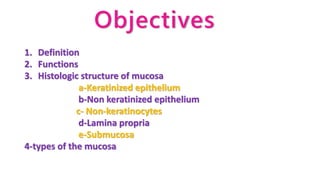 Objectives
1. Definition
2. Functions
3. Histologic structure of mucosa
a-Keratinized epithelium
b-Non keratinized epithelium
c- Non-keratinocytes
d-Lamina propria
e-Submucosa
4-types of the mucosa
 