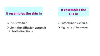 It resembles the skin in
It is stratified.
Limit the diffusion across it
in both directions
It resembles the
GIT in
Bathed in tissue fluid.
High rate of turn over
 