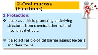1.Protection:
 It acts as a shield protecting underlying
structures from chemical, thermal and
mechanical effects.
 It also acts as biological barrier against bacteria
and their toxins.
2-Oral mucosa
(Functions)
 