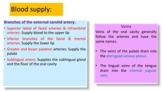 Blood supply:
Branches of the external carotid artery:
• Superior labial of facial arteries & infraorbital
arteries: Supply blood to the upper lip
• Inferior branches of the facial & mental
arteries: Supply the lower lip
• Greater and lesser palatine arteries: Supply the
palate
• Sublingual artery: Supplies the sublingual gland
and the floor of the oral cavity
Veins
Veins of the oral cavity generally
follow the arteries and have the
same names.
• The veins of the palate drain into
the pterygoid venous plexus.
• The lingual veins of the tongue
drain into the internal jugular
vein.
 