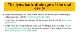 The lymphatic drainage of the oral
cavity
• Lymph from the upper lip, teeth, lateral parts of the anterior part of the tongue,
and gingiva drains into the submandibular lymph nodes.
• Lymph from the lower lip and apex of the tongue drains into the submental
lymph nodes.
• Lymph from the medial anterior portion of the tongue drains into the inferior
deep cervical lymph nodes, and the posterior portion of the tongue drains into
the superior deep cervical lymph nodes.
 