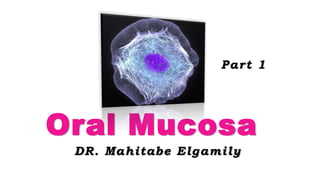 Oral Mucosa
DR. Mahitabe Elgamily
Part 1
 