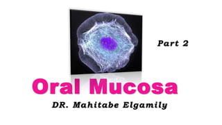 Oral Mucosa
DR. Mahitabe Elgamily
Part 2
 