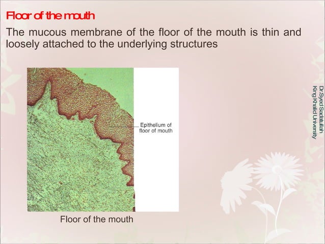 Oral Mucous Membrane | PPT | Dental Health | Diseases and Conditions