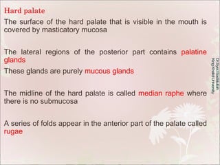 Hard palate The surface of the hard palate that is visible in the mouth is covered by masticatory mucosa The lateral regio...