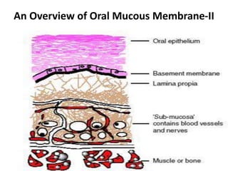 An Overview of Oral Mucous Membrane-II
 