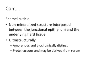Cont…
Enamel cuticle
• Non-mineralized structure interposed
between the junctional epithelium and the
underlying hard tissue
• Ultrastructurally
– Amorphous and biochemically distinct
– Proteinaceous and may be derived from serum
 