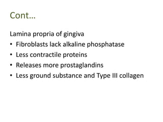 Cont…
Lamina propria of gingiva
• Fibroblasts lack alkaline phosphatase
• Less contractile proteins
• Releases more prostaglandins
• Less ground substance and Type III collagen
 