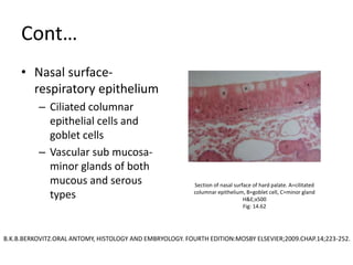 Cont…
• Nasal surface-
respiratory epithelium
– Ciliated columnar
epithelial cells and
goblet cells
– Vascular sub mucosa-
minor glands of both
mucous and serous
types
Section of nasal surface of hard palate. A=cilitated
columnar epithelium, B=goblet cell, C=minor gland
H&E;x500
Fig: 14.62
B.K.B.BERKOVITZ.ORAL ANTOMY, HISTOLOGY AND EMBRYOLOGY. FOURTH EDITION:MOSBY ELSEVIER;2009.CHAP.14;223-252.
 