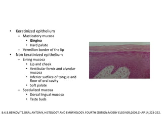 • Keratinized epithelium
– Masticatory mucosa
• Gingiva
• Hard palate
– Vermilion border of the lip
• Non keratinized epithelium
– Lining mucosa
• Lip and cheek
• Vestibular fornix and alveolar
mucosa
• Inferior surface of tongue and
floor of oral cavity
• Soft palate
– Specialized mucosa
• Dorsal lingual mucosa
• Taste buds
B.K.B.BERKOVITZ.ORAL ANTOMY, HISTOLOGY AND EMBRYOLOGY. FOURTH EDITION:MOSBY ELSEVIER;2009.CHAP.14;223-252.
 