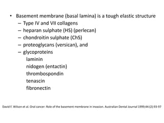 • Basement membrane (basal lamina) is a tough elastic structure
– Type IV and VII collagens
– heparan sulphate (HS) (perlecan)
– chondroitin sulphate (ChS)
– proteoglycans (versican), and
– glycoproteins
laminin
nidogen (entactin)
thrombospondin
tenascin
fibronectin
David F. Wilson et al. Oral cancer: Role of the basement membrane in invasion. Australian Dental Journal 1999;44:(2):93-97
 