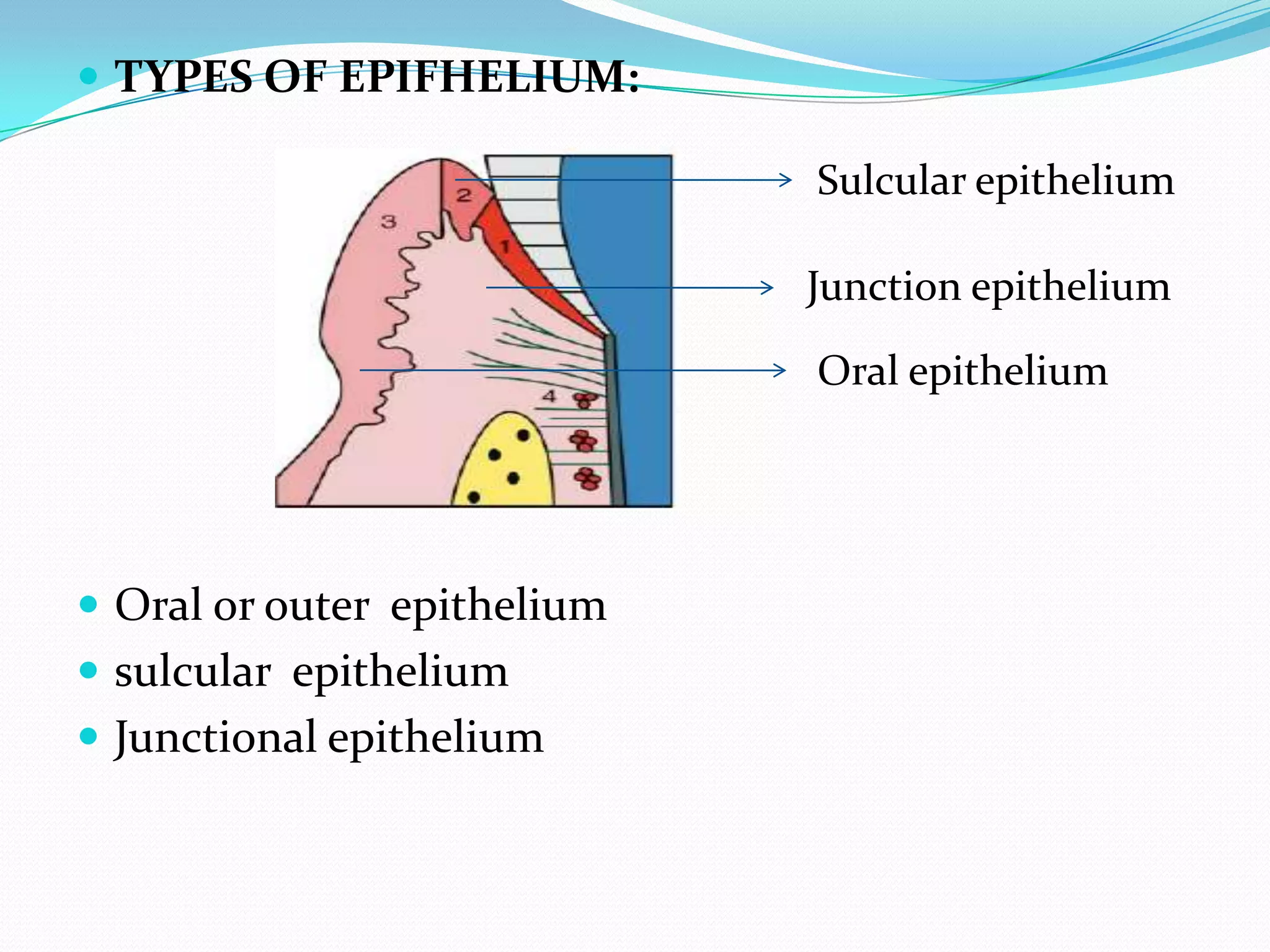 Oral mucous membrane pictorial representation | PPTX