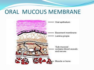 Oral mucous membrane pictorial representation | PPTX