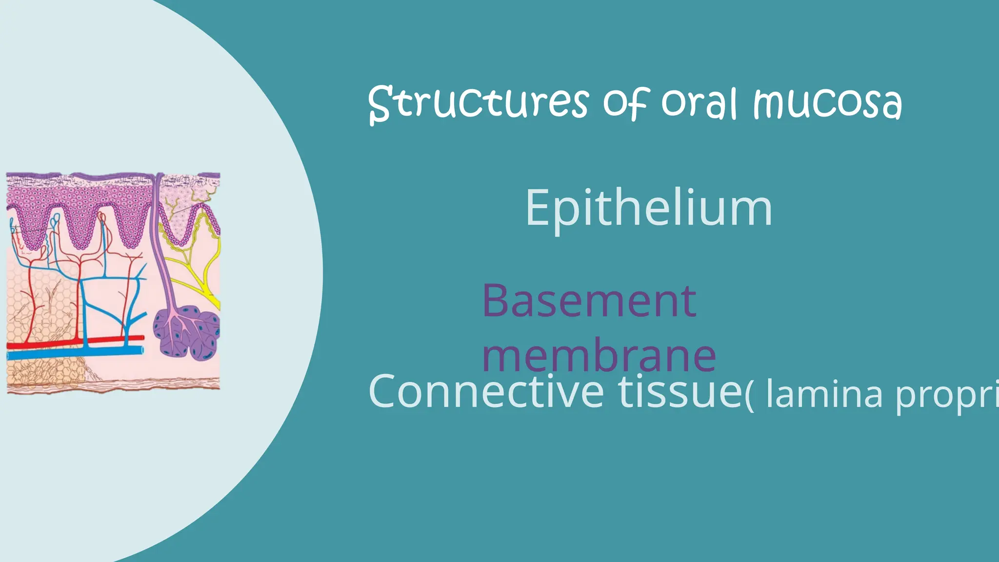 oral mucous membrane manjusha mam ppt.pptx